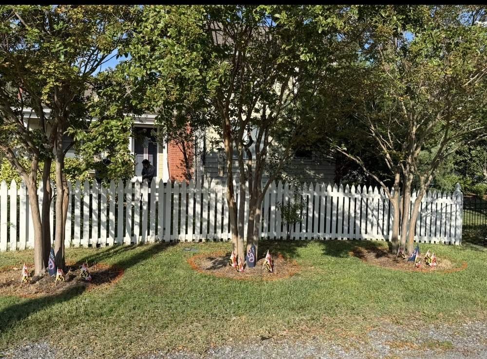 Bare grass around front yard trees before mulch rings installed
