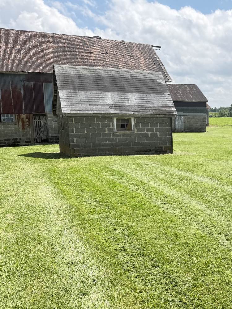 Neatly striped lawn after mowing service