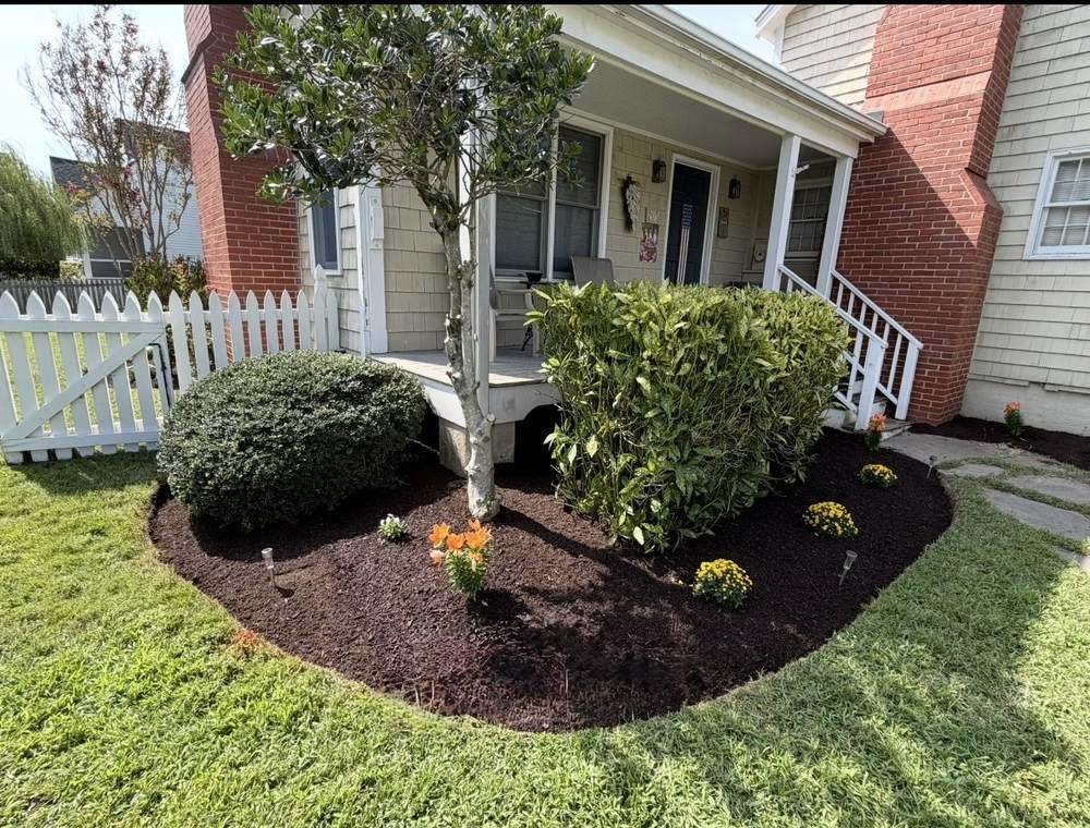 Freshly mulched and planted foundation bed after landscaping in Easton, MD