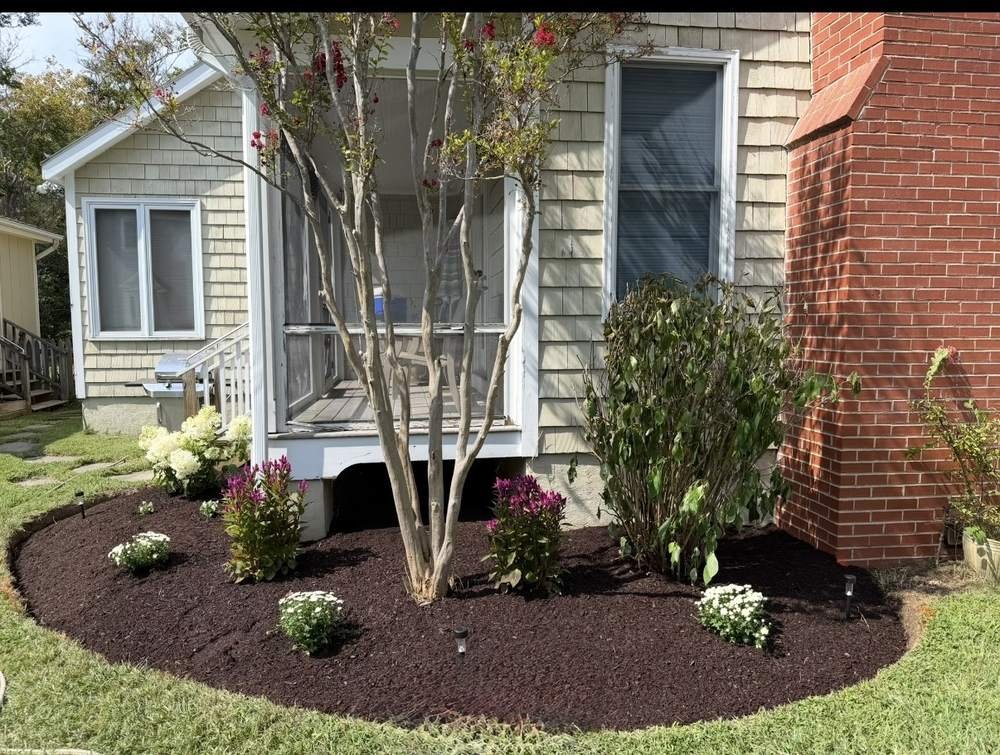 Crape myrtle bed replanted and mulched after landscaping renovation